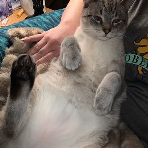 Meet your Posher, Cari